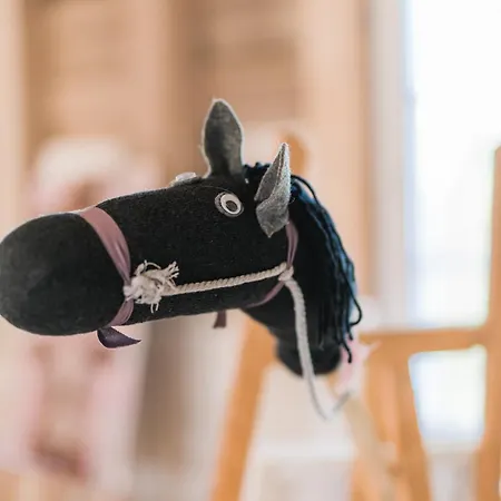 Hof Koehne - Haus Am Reitplatz 2er *