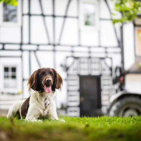 Hof Koehne - Haus Am Reitplatz 2er