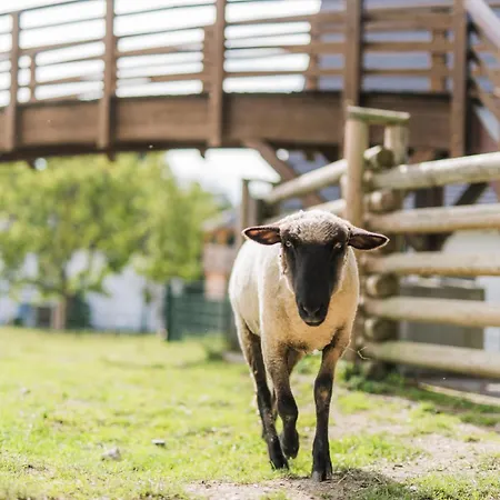 Hof Koehne - Haus Am Reitplatz 2er Schmallenberg
