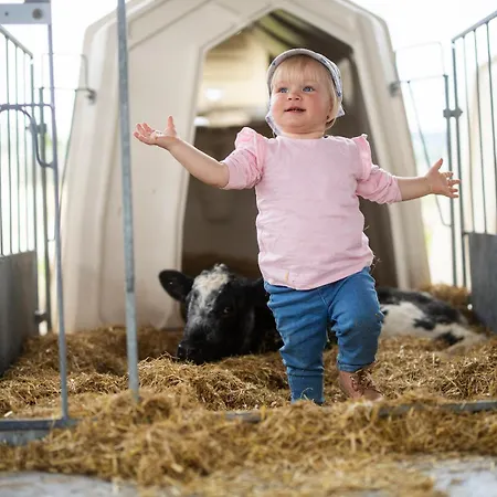 Σπίτι διακοπών Hof Koehne - Haus Am Reitplatz 2er Schmallenberg
