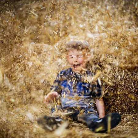 Hof Koehne - Haus Am Reitplatz 2er