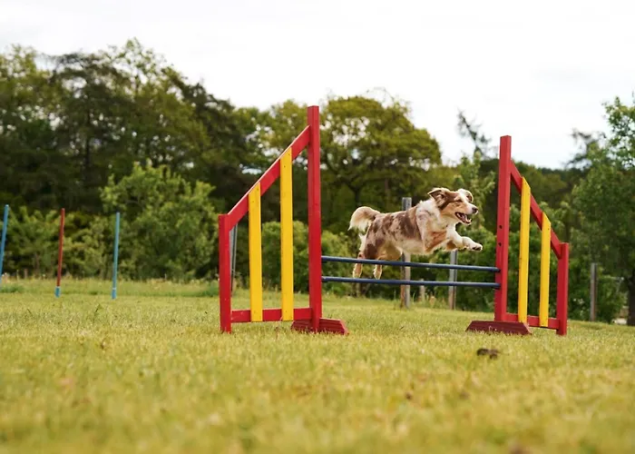 Hof Koehne - Haus Am Reitplatz 2er