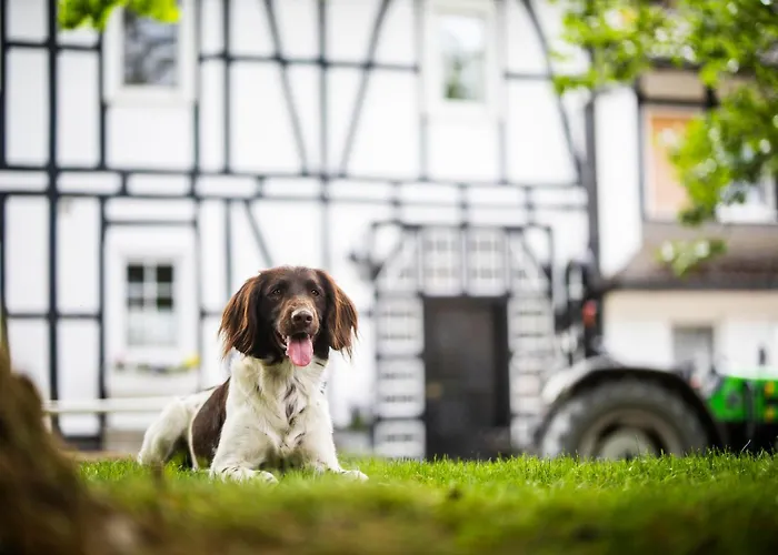 Hof Koehne - Haus Am Reitplatz 2er
