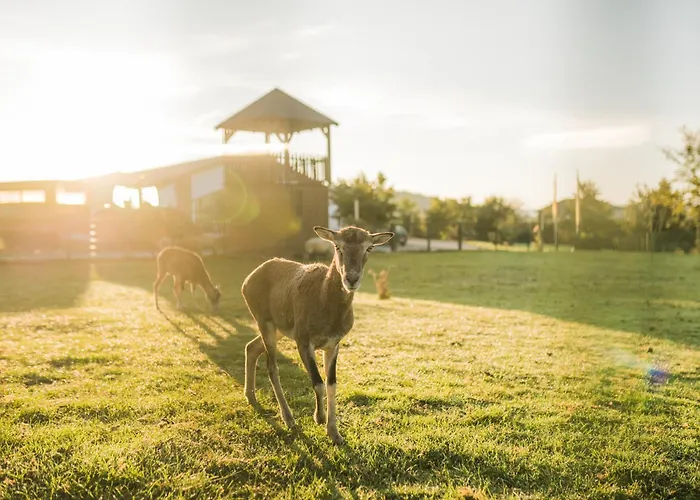 Hof Koehne - Haus Am Reitplatz 2er *