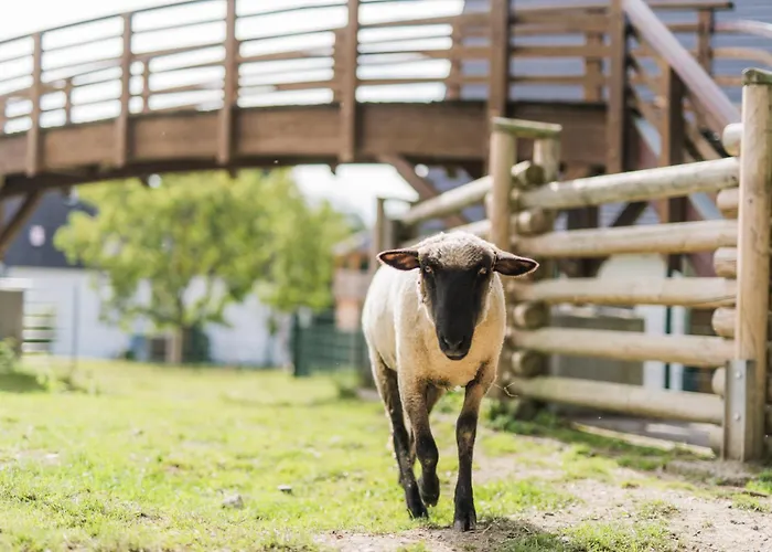 Hof Koehne - Haus Am Reitplatz 2er Schmallenberg